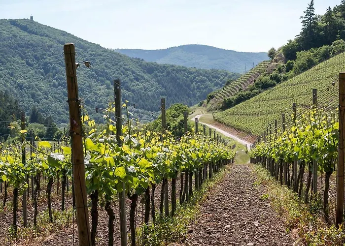 - Wasserschoepp * Mendig